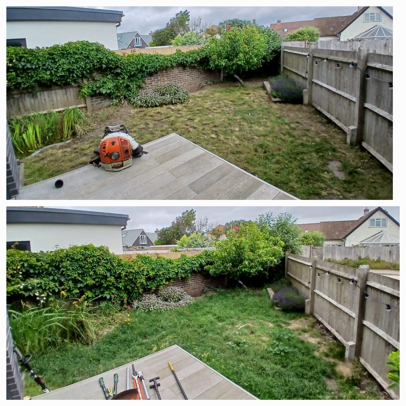 Worthing Gardening project photo 3 in Worthing