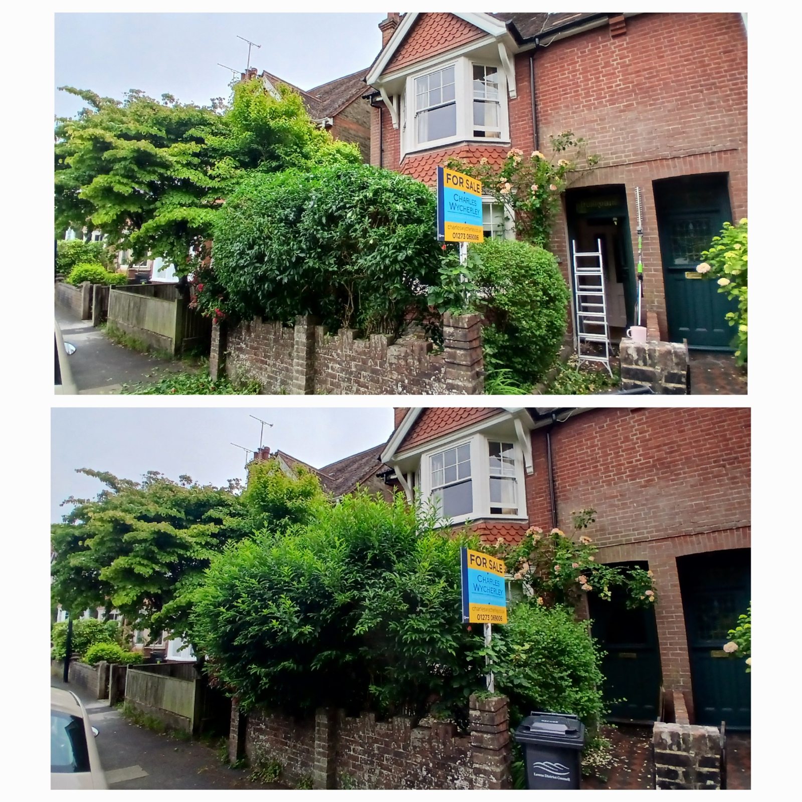 Worthing Gardening project photo 4 in Worthing