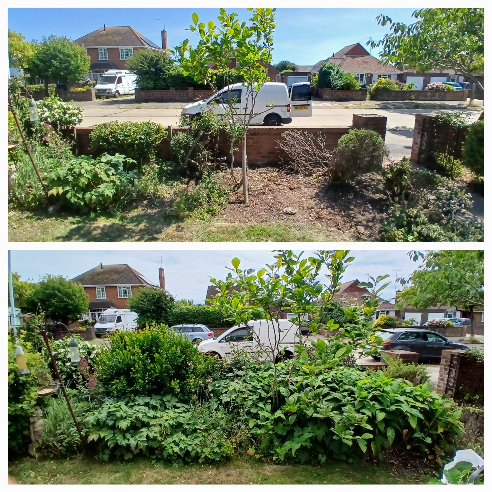 Worthing Gardening project photo 5 in Worthing